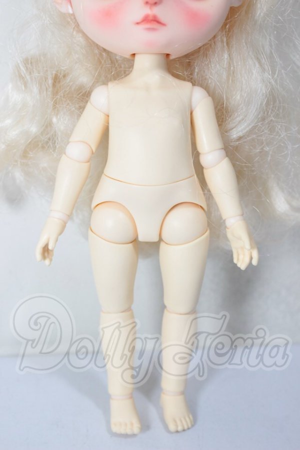 画像6: ミディブライス/MOKODOLL様カスタム A-26-03-11-126-TN-ZA (6)