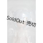 画像: 桜画集スタジオ/異象重構：ムササビ A-26-03-11-308-TN-ZA