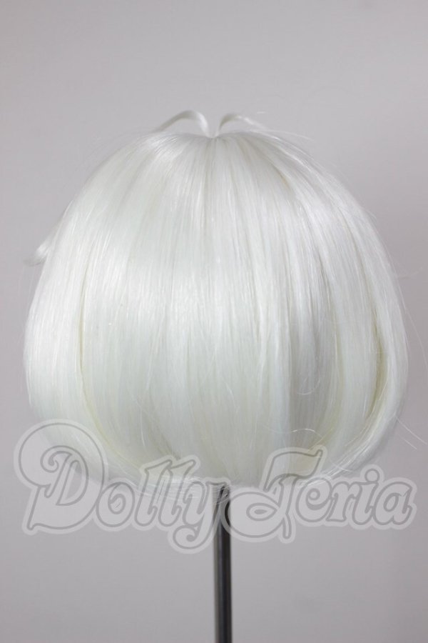 画像2: 8.5-9inch/ウィッグ A-26-03-18-140-TN-ZA (2)