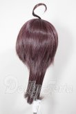 画像2: 9inch/みさんとるーぷ様製ウィッグ A-26-03-18-134-TN-ZA (2)
