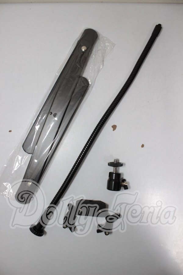 画像1: DD/自由形ドールスタンド　【セレマギア】 A-26-03-11-331-NY-ZA (1)