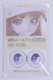 画像1: 22mm/アニメアイ/ドール用　アイ A-26-03-25-097-NY-ZA (1)