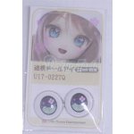 画像: 22mm/アニメアイ/ドール用　アイ A-26-04-01-073-NY-ZA
