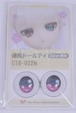 画像1: 22mm/アニメアイ/ドール用　アイ A-26-04-01-018-NY-ZA (1)
