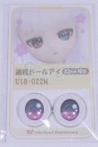 画像1: 22mm/アニメアイ/ドール用　アイ A-26-04-01-014-NY-ZA (1)