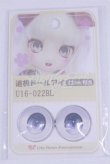 画像1: 22mm/アニメアイ/ドール用　アイ A-26-04-01-011-NY-ZA (1)