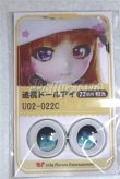 画像1: 22mm/アニメアイ/ドール用　アイ A-26-04-15-007-NY-ZA (1)