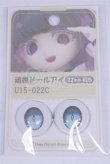 画像1: 22mm/アニメアイ/ドール用　アイ A-26-04-01-019-NY-ZA (1)