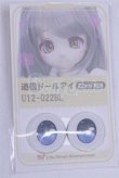 画像1: 22mm/アニメアイ/ドール用　アイ A-26-04-01-029-NY-ZA (1)