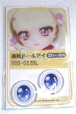 画像1: 22mm/アニメアイ/ドール用　アイ A-26-04-15-027-NY-ZA (1)