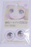 画像1: 22mm/アニメアイ/ドール用　アイ A-26-04-01-033-NY-ZA (1)