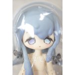 画像: 秘境巡礼/ショッカ A-26-03-11-215-NY-ZA