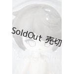 画像: 秘境巡礼/アスタ A-26-03-11-219-NY-ZA