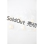 画像: 秘境巡礼/パーツ A-26-03-11-234-NY-ZA