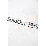 画像: 秘境巡礼/パーツ A-26-03-11-233-NY-ZA