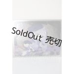 画像: for moon/ルナに捧ぐ:独行 A-26-03-18-106-WT-ZA