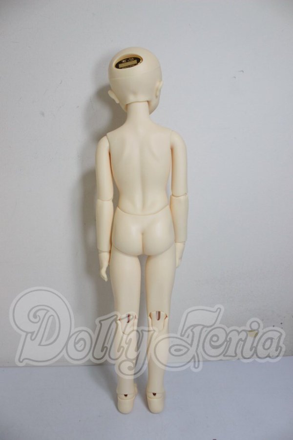 画像6: SDM/コーディネートモデル：F54 A-26-03-11-301-NY-ZA (6)