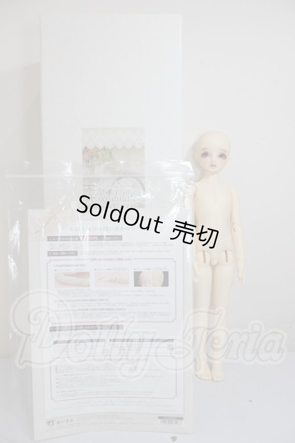 画像7: SDM/コーディネートモデル：F54 A-26-03-11-301-NY-ZA (7)