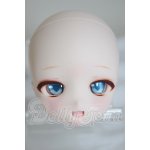 画像: DD/DDH-29/カスタムメイク A-26-03-11-305-NY-ZA