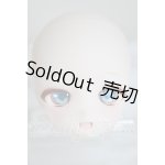 画像: DD/DDH-29/カスタムメイク A-26-03-11-305-NY-ZA