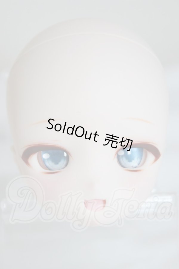 画像1: DD/DDH-29/カスタムメイク A-26-03-11-305-NY-ZA (1)