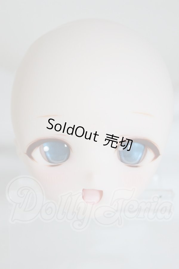 画像1: DD/DDH-01 カスタムヘッド A-26-03-11-303-NY-ZA (1)