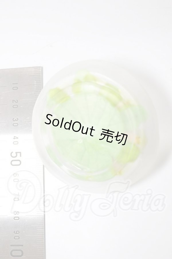 画像2: MDD/サーモンカルパッチョ A-26-03-11-386-NY-ZA (2)