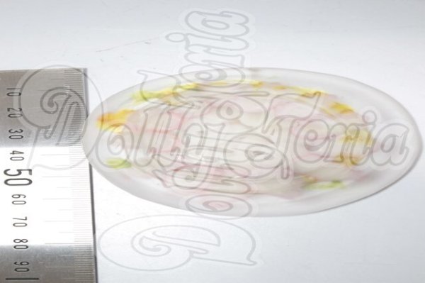 画像2: MDD/タコのカルパッチョ A-26-03-11-396-NY-ZA (2)