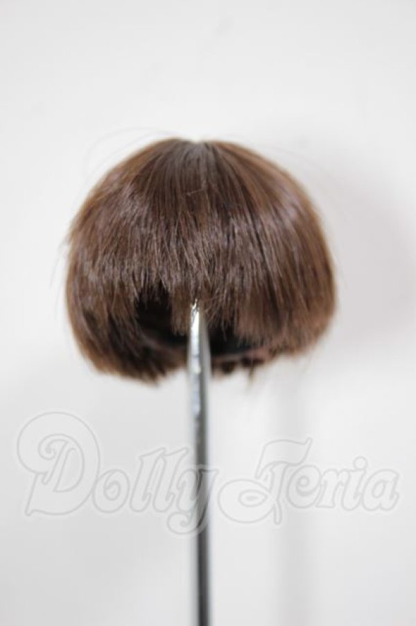 画像1: 6inch/ウィッグ A-26-04-08-195-NY-ZA (1)