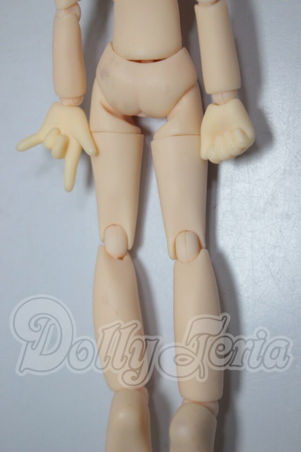 画像5: ピコニーモDボディ/カスタムヘッド A-26-03-18-105-NY-ZA (5)