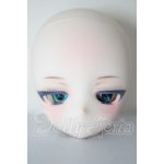 画像: DD/DDH-28 カスタムヘッド A-26-03-18-218-NY-ZA