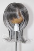 画像1: 8-9inch/ウィッグ　raimuneca様製 A-26-03-18-156-NY-ZA (1)