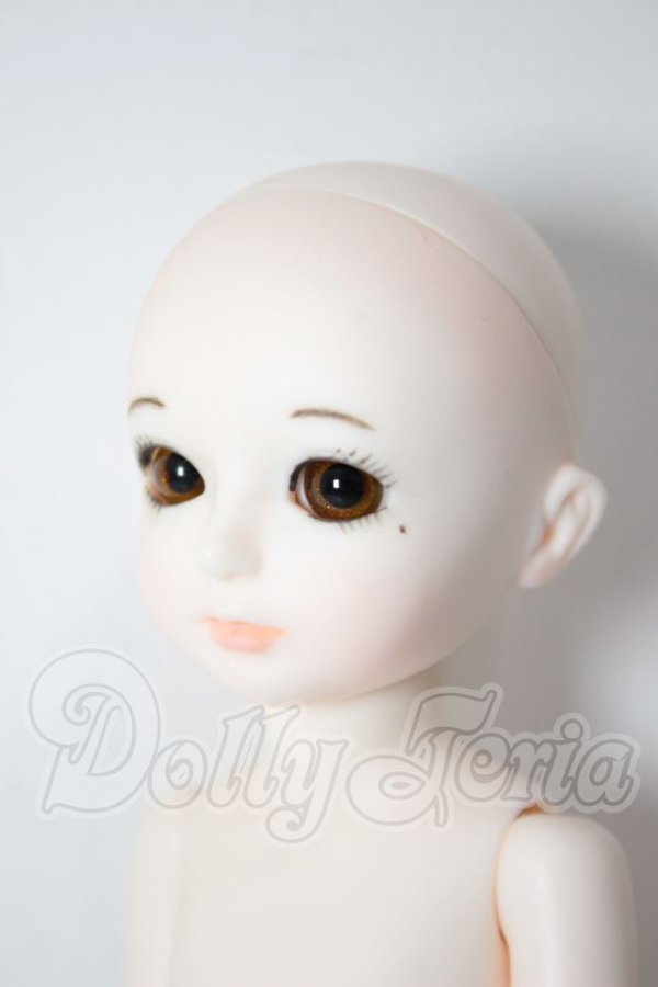 画像2: Custom　House/Bisou　Ai-Lilly　basic A-26-04-01-280-NY-ZA (2)