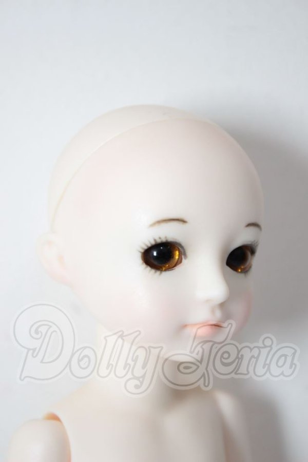 画像3: Custom　House/Bisou　Ai-Lilly　basic A-26-04-01-280-NY-ZA (3)