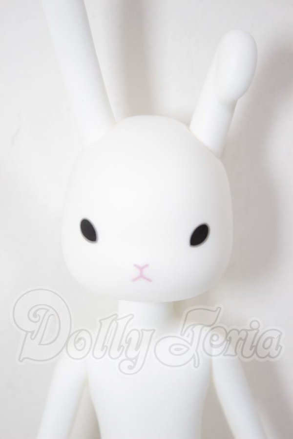 画像1: petworks/うさぎぃ001 A-26-04-01-248-NY-ZA (1)