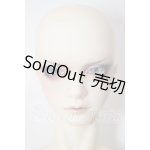 画像: SDGouボディ/SD F-93 フルチョイスヘッド A-26-03-18-221-NY-ZA