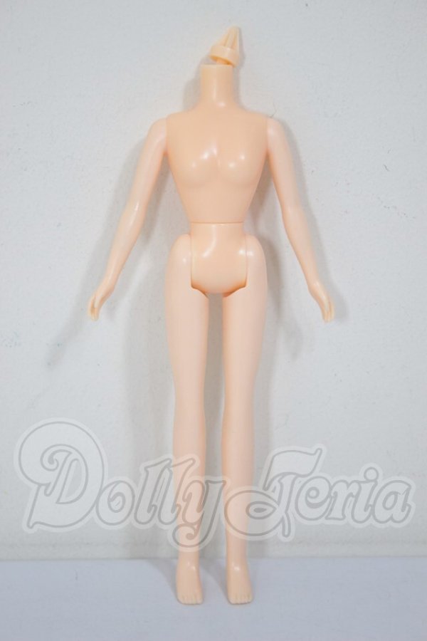 画像1: ネオブライス/ボディのみ A-26-03-18-224-NY-ZA (1)