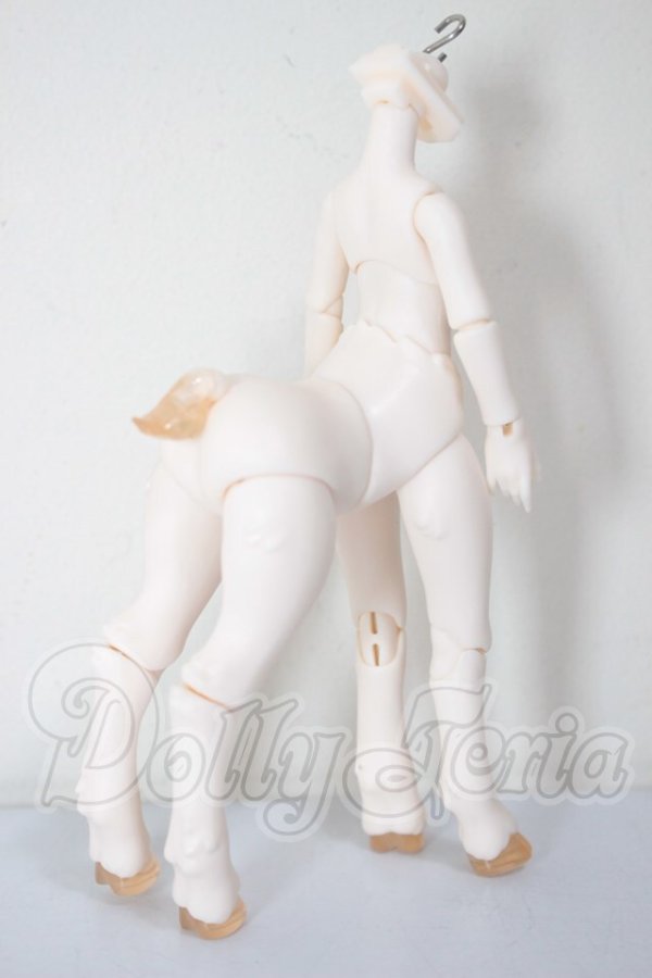 画像2: ANTU/ボディ A-26-03-25-105-NY-ZA (2)