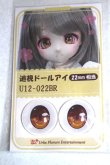 画像1: 22mm/アニメアイ/ドール用　アイ A-26-04-29-005-NY-ZA (1)