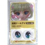 画像: 22mm/アニメアイ/ドール用 アイ A-26-04-29-097-NY-ZA