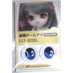 画像: 22mm/アニメアイ/ドール用 アイ A-26-04-29-070-NY-ZA