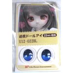 画像: 22mm/アニメアイ/ドール用 アイ A-26-04-29-079-NY-ZA