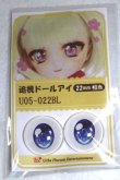 画像1: 22mm/アニメアイ/ドール用　アイ A-26-04-29-061-NY-ZA (1)
