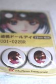 画像2: 22mm/アニメアイ A-26-06-02-087-NY-ZA (2)