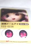 画像2: 22mm/アニメアイ A-26-06-02-089-NY-ZA (2)