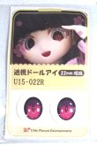画像1: 22mm/アニメアイ A-26-06-02-084-NY-ZA (1)