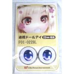 画像: 22mm/アニメアイ A-26-06-02-070-NY-ZA
