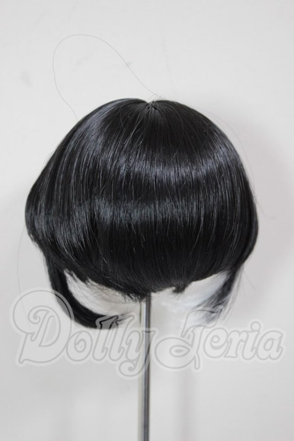 画像2: 6-7inch/ウィッグ A-26-03-25-225-NY-ZA (2)