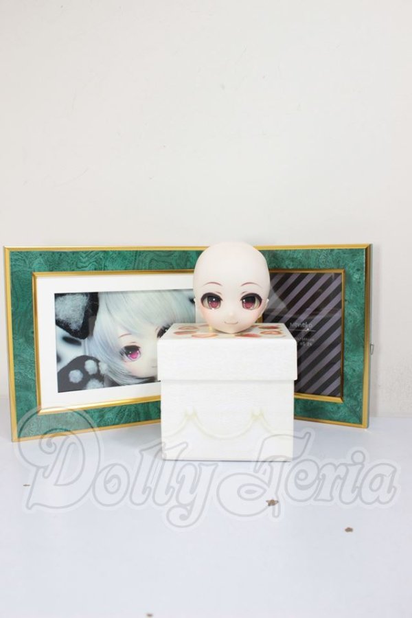 画像4: DDH-01/とてち様カスタムヘッド A-26-04-01-203-NY-ZA (4)