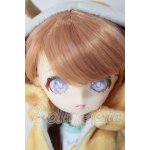 画像: ニア・ハルモニア/ポテト from PUI PUI モルカー A-26-03-25-307-NY-ZA